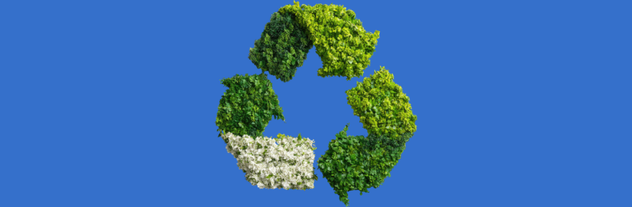 pakis.lt perdirbimo svarba