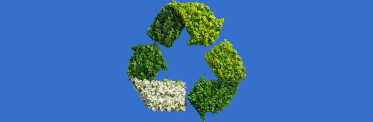 pakis.lt perdirbimo svarba